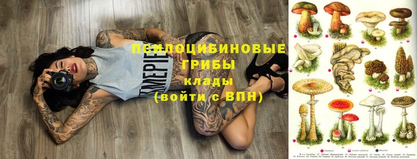 гидра Алексин