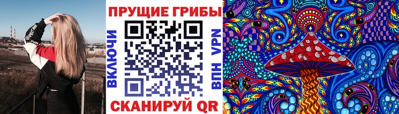 Галлюциногенные грибы Psilocybe  Нижнекамск 