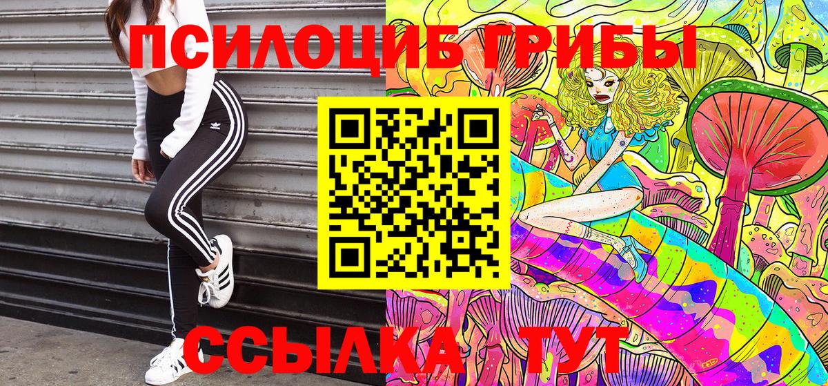 Галлюциногенные грибы Psilocybine cubensis Нижнекамск