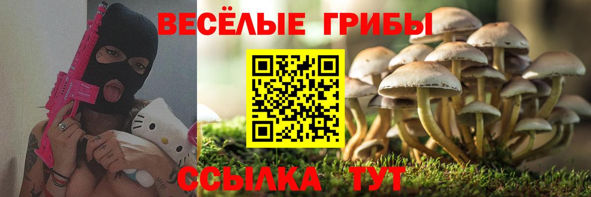 Нижнекамск  Псилоцибиновые грибы GOLDEN TEACHER  Галлюциногенные грибы Cubensis  Вход с VPN 
